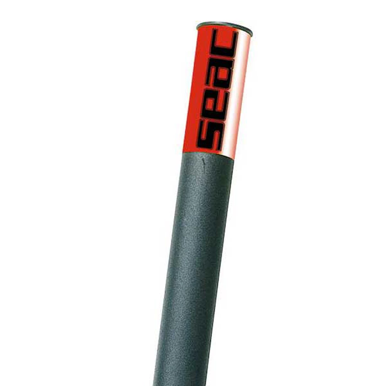 Sortie 😍 Plongee Seacsub Seacsub Silner 😉 4 Sortie 😍 Plongee Seacsub Seacsub Silner 😉 – Image 2