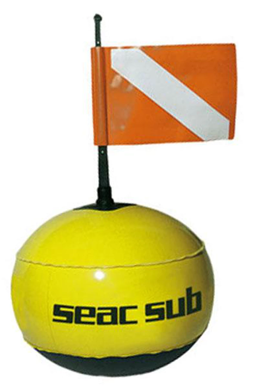 Sortie 💯 Plongee Seacsub Seacsub Round Buy Fluo With Line ✨ 3 Sortie 💯 Plongee Seacsub Seacsub Round Buy Fluo With Line ✨